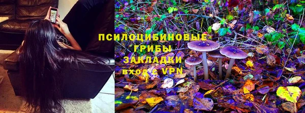 трава Нефтекумск