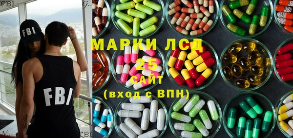прущий лед Новозыбков