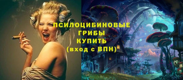 прущий лед Новозыбков