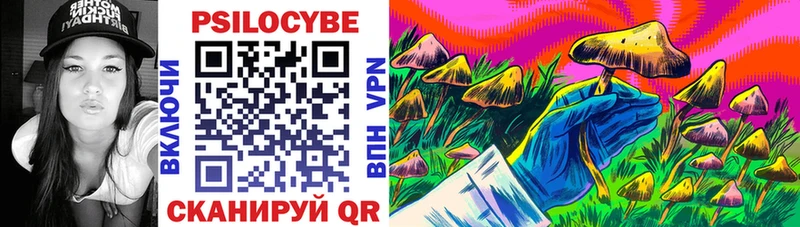 где продают наркотики  Сунжа  блэк спрут как войти  Галлюциногенные грибы MAGIC MUSHROOMS 