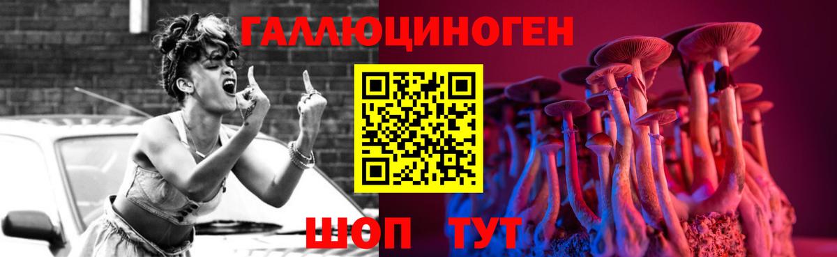 Сунжа  Псилоцибиновые грибы GOLDEN TEACHER  Вход с VPN 