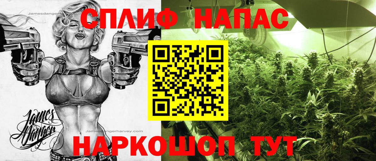 Сунжа  Бошки Шишки план  Бошки Шишки индика  Вход с VPN 